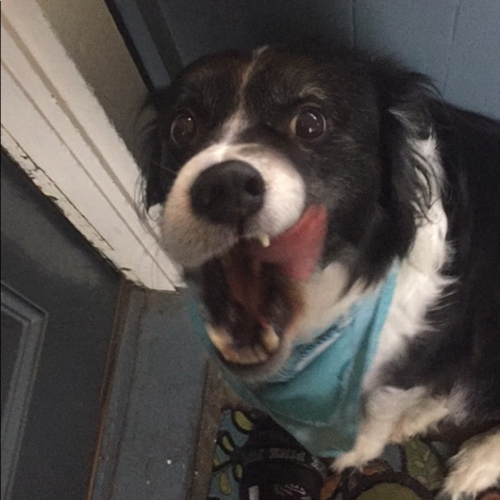 Meet your Posher, Gabbi